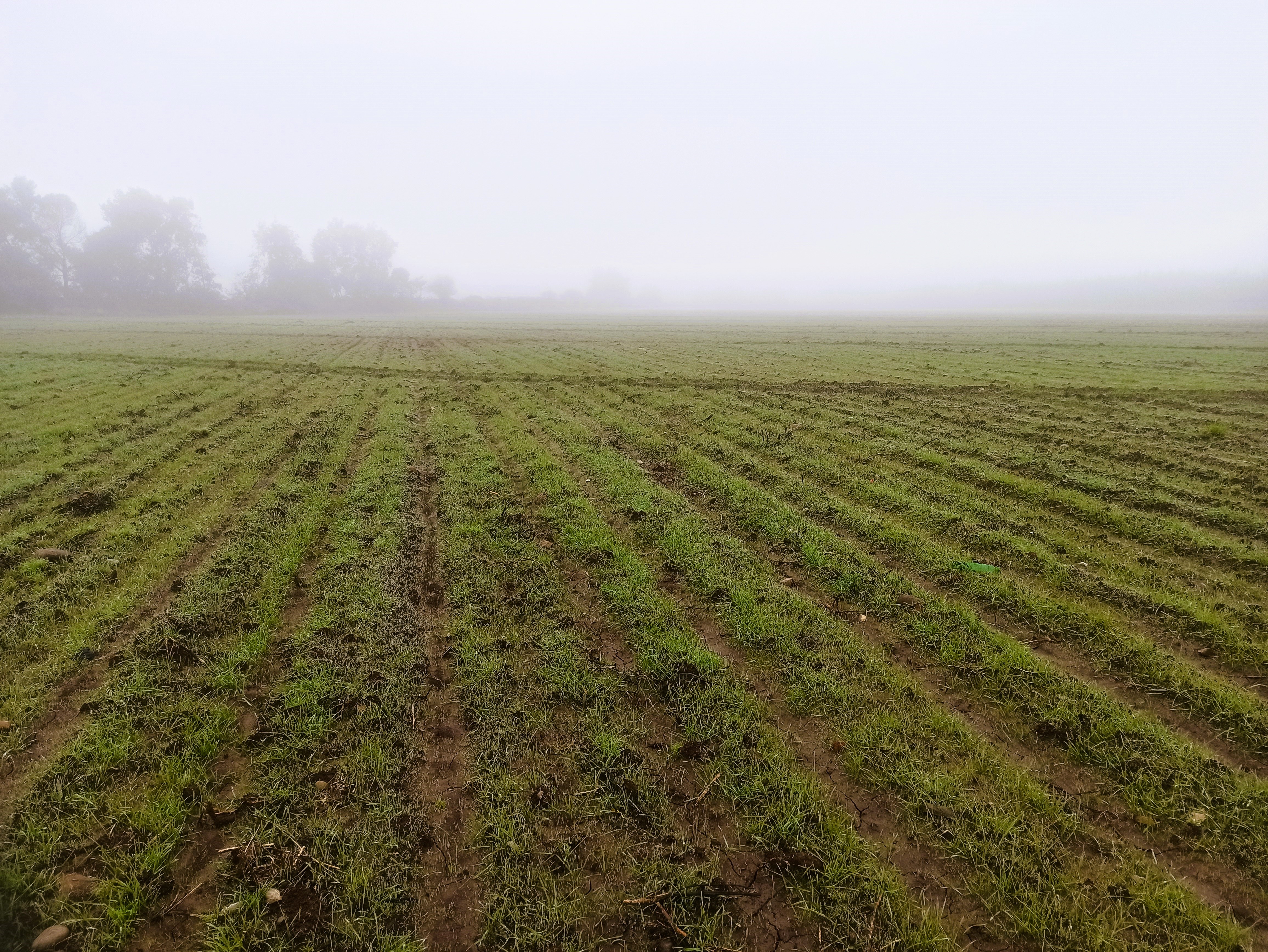 Campo en San Clemente VT762