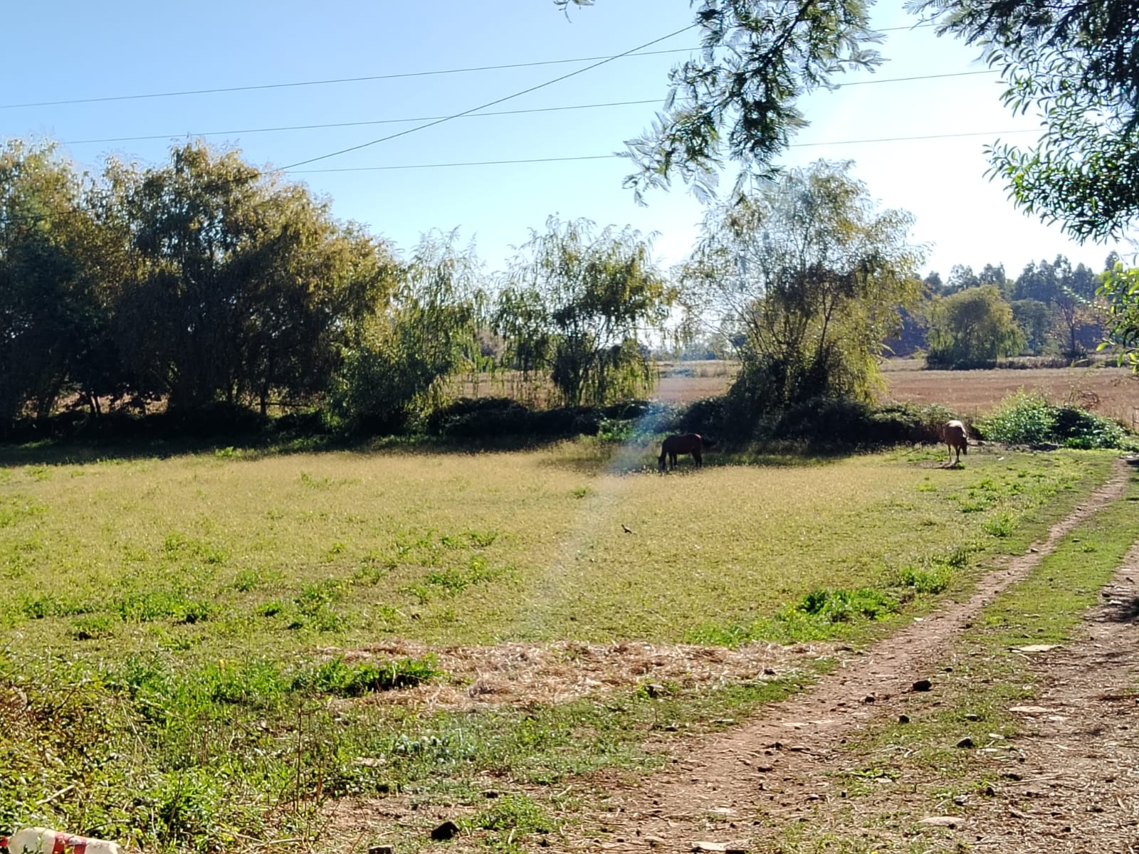 Campo en Colbún VT977