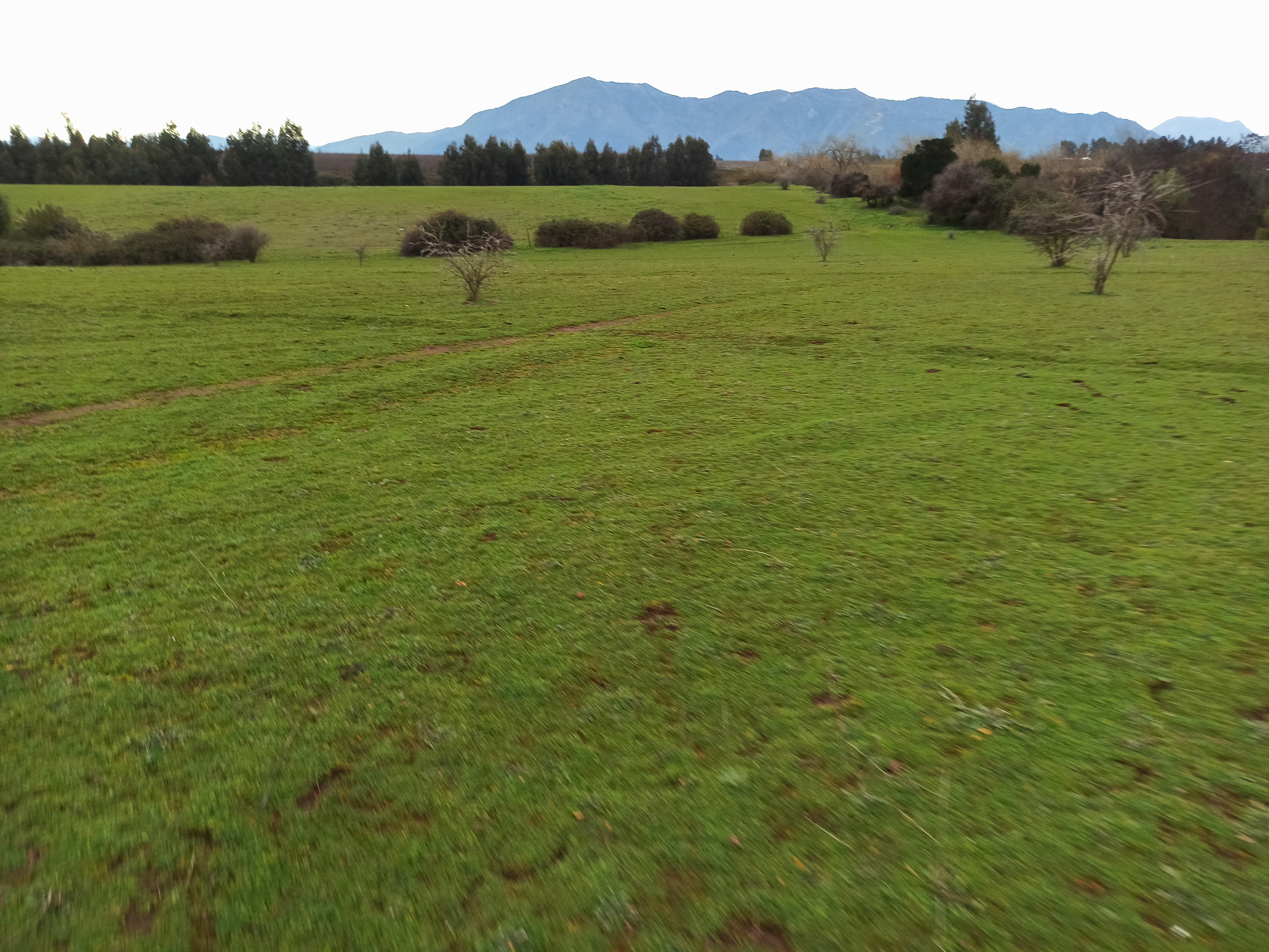 Campo en Río Claro VT799