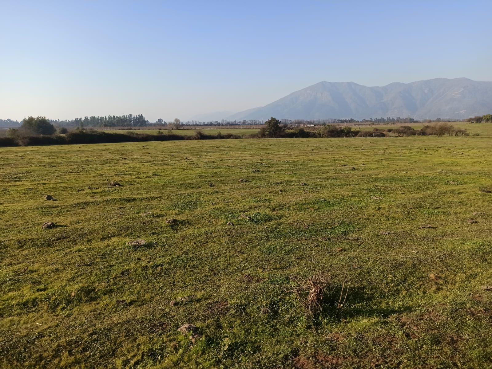 Campo en Río Claro VT798