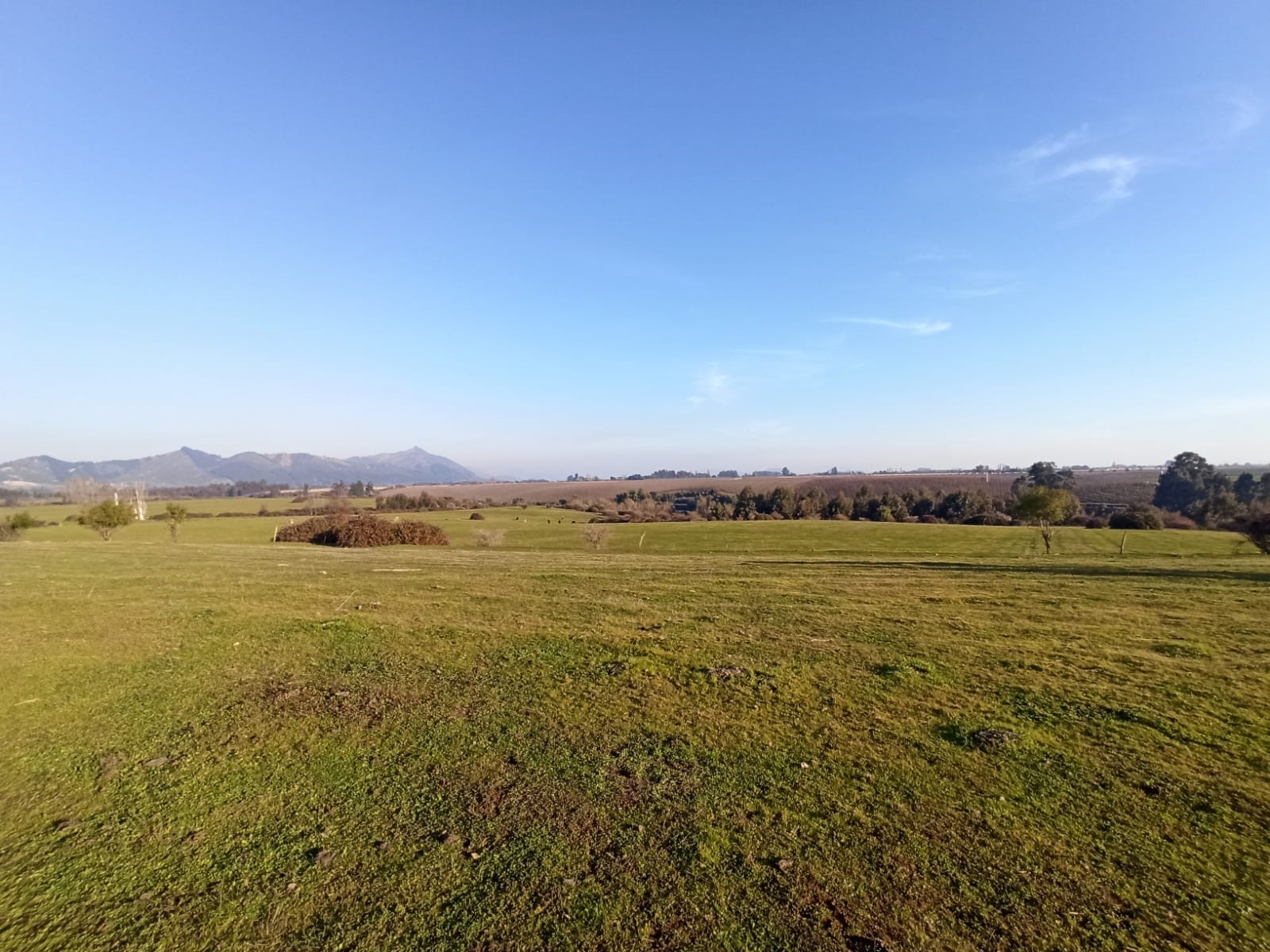 Campo en Río Claro VT800